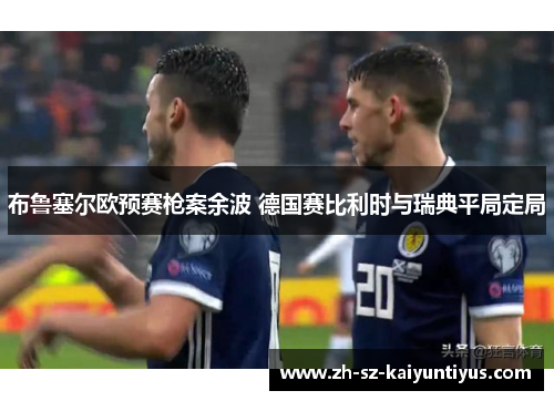 布鲁塞尔欧预赛枪案余波 德国赛比利时与瑞典平局定局