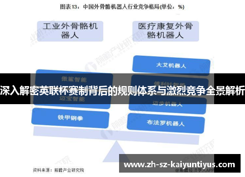 深入解密英联杯赛制背后的规则体系与激烈竞争全景解析