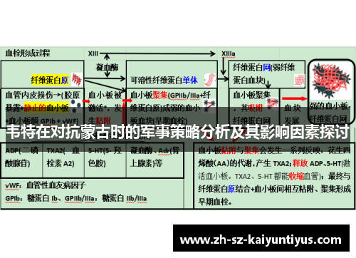 韦特在对抗蒙古时的军事策略分析及其影响因素探讨