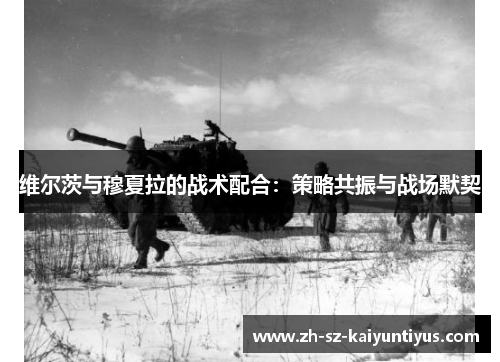 维尔茨与穆夏拉的战术配合：策略共振与战场默契